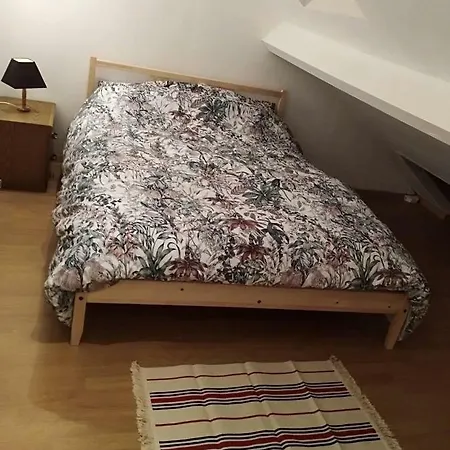 Charmant Duplex à 200m De La Cathédrale Appartement